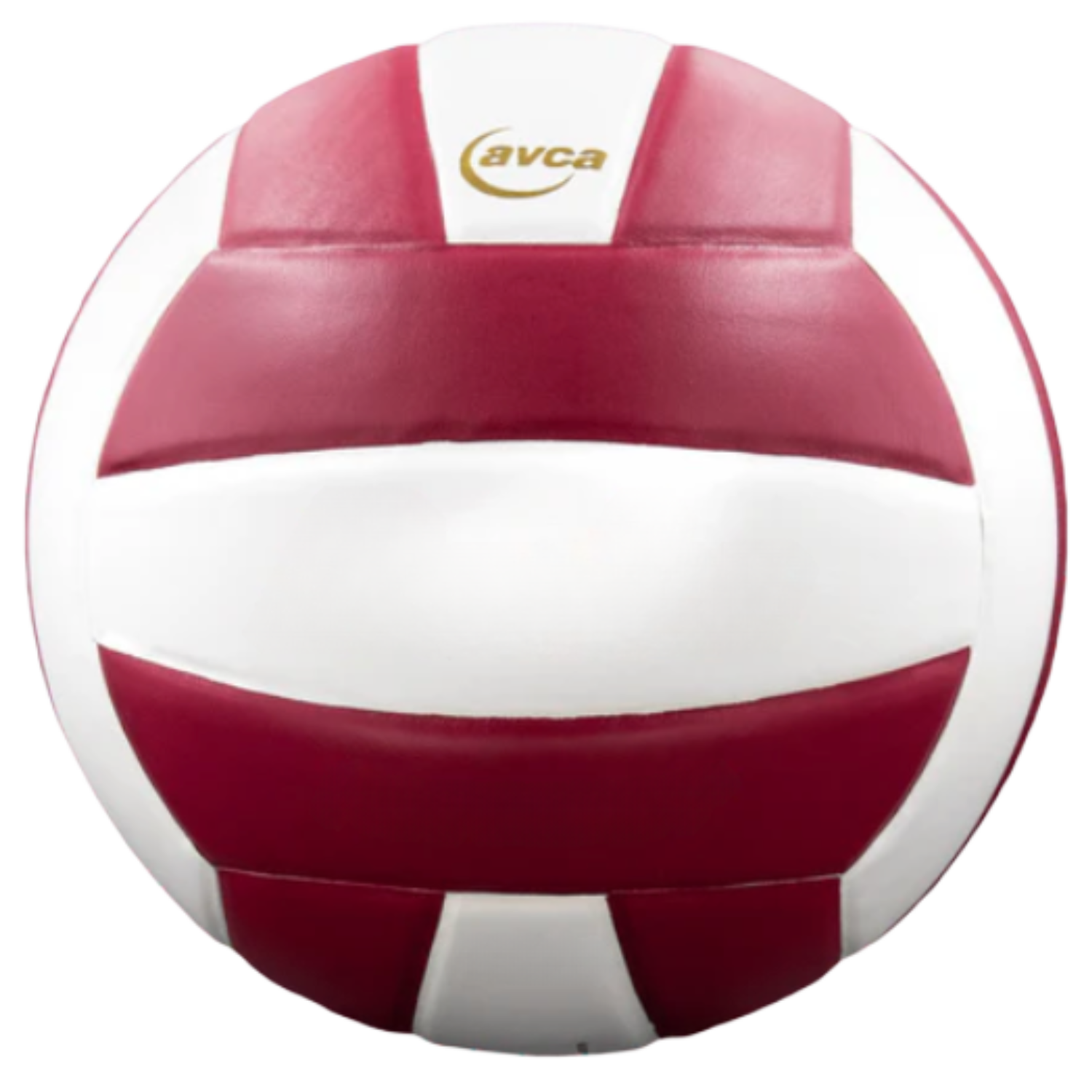 Perfection Leather Volleyball