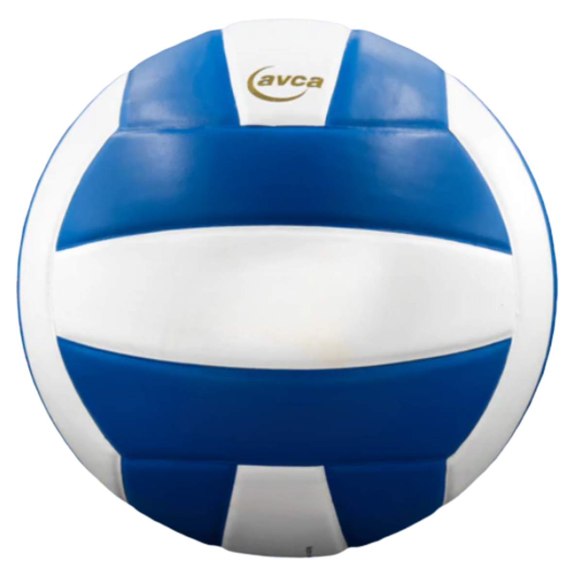 Perfection Leather Volleyball