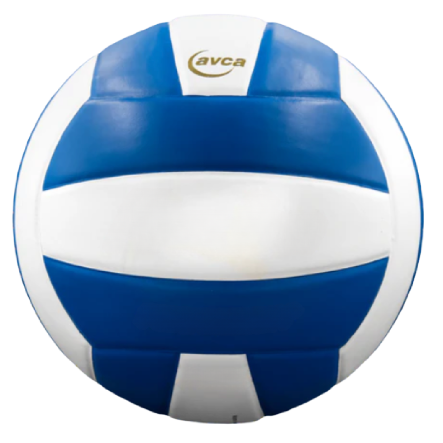 Perfection Leather Volleyball