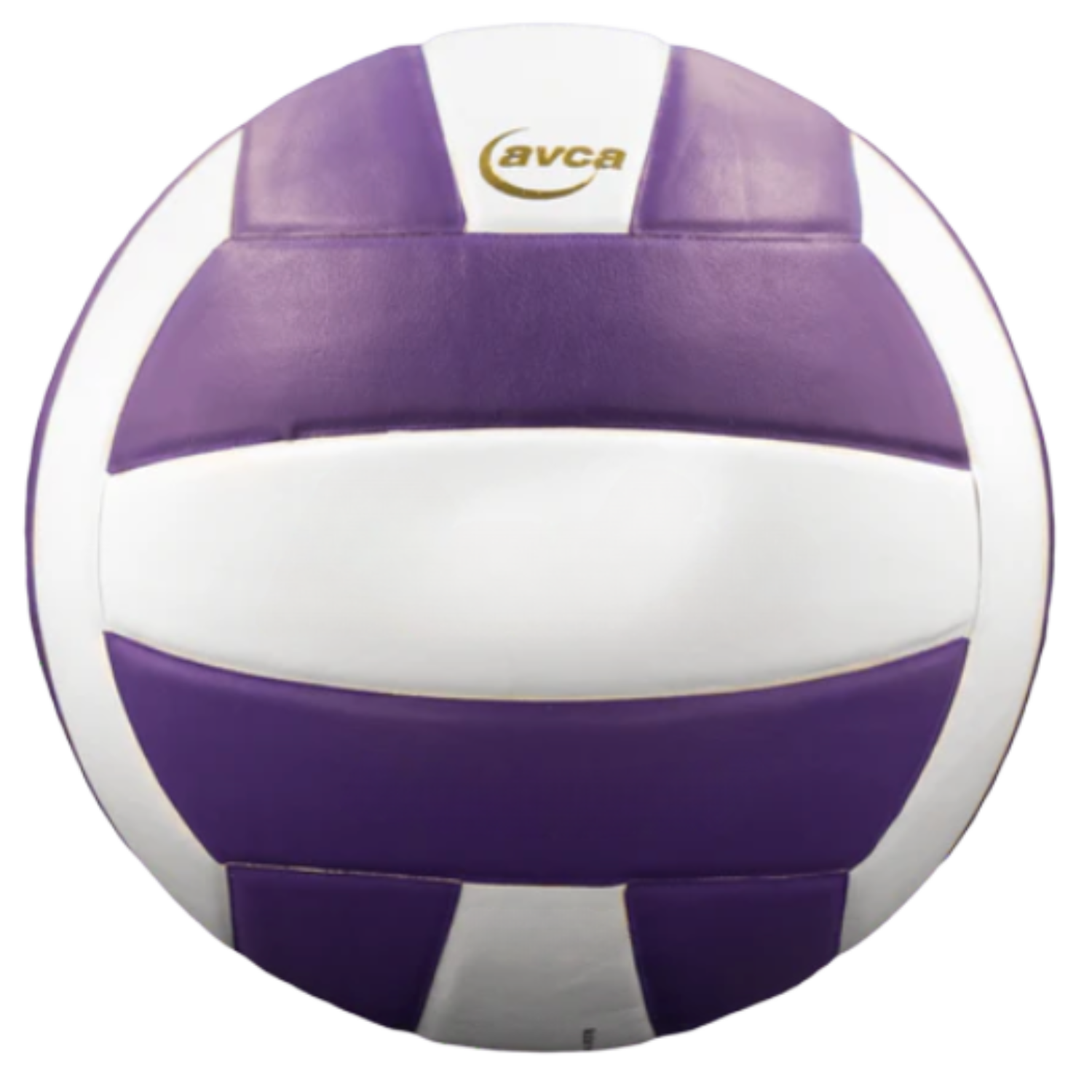 Perfection Leather Volleyball