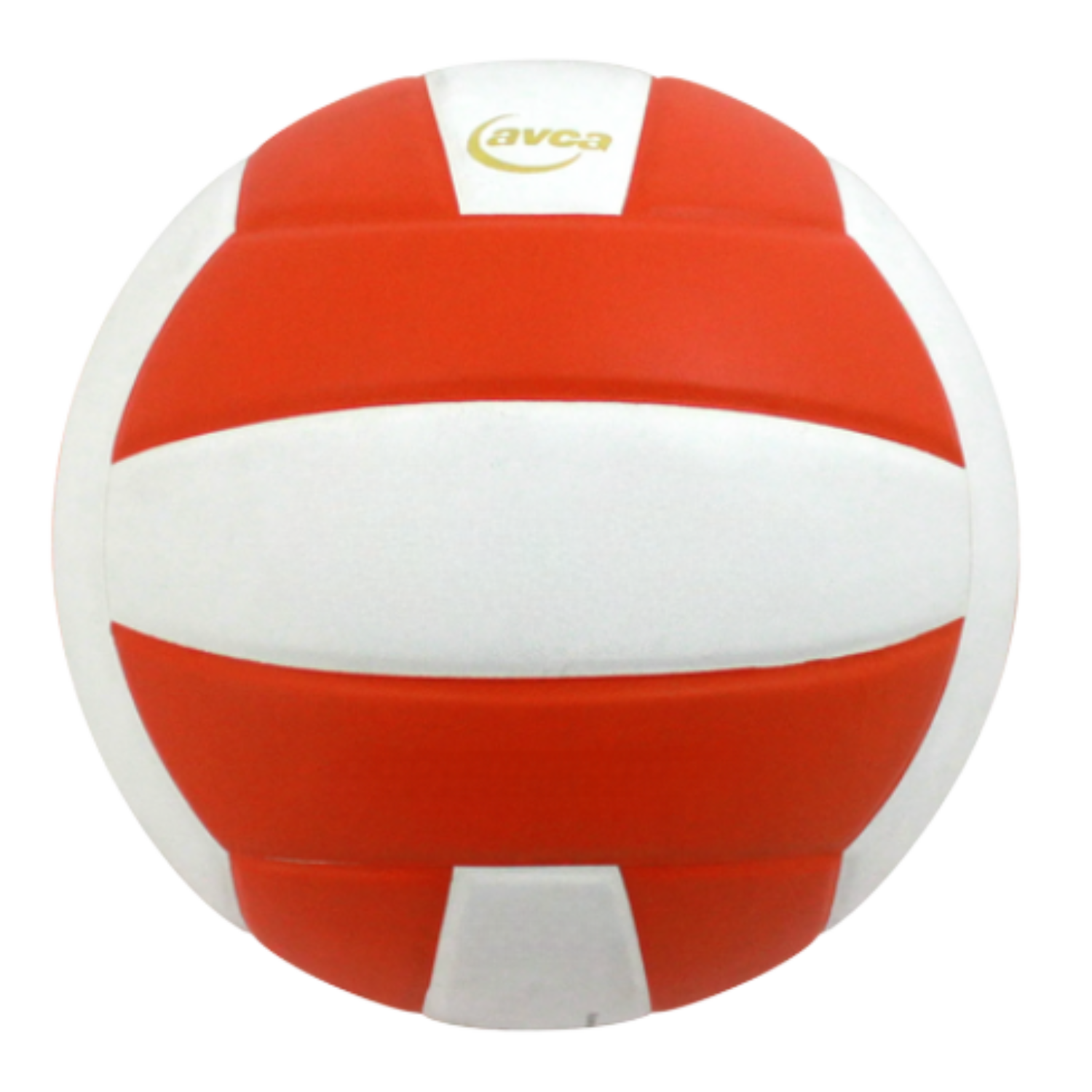 Perfection Leather Volleyball