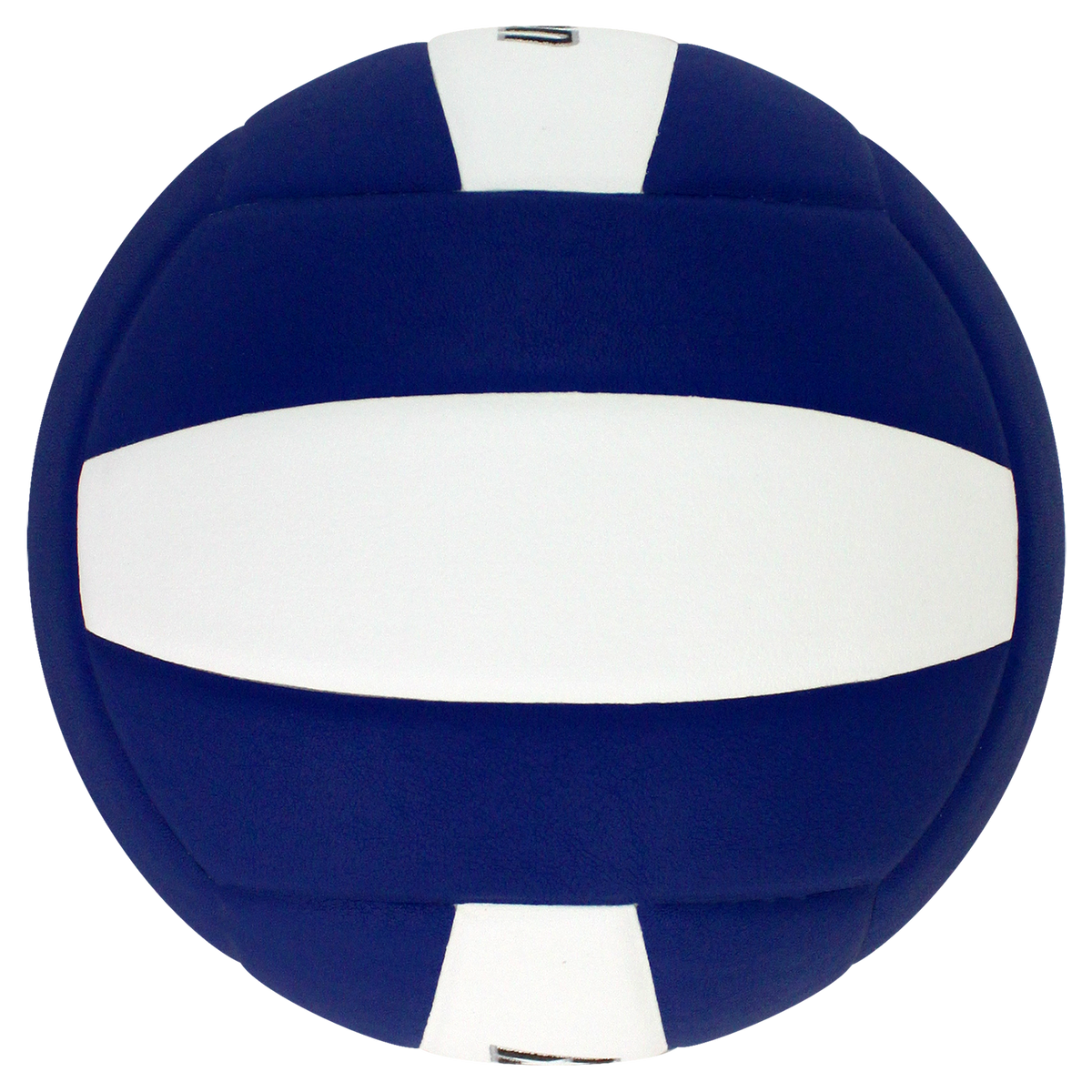 Perfection Leather Volleyball