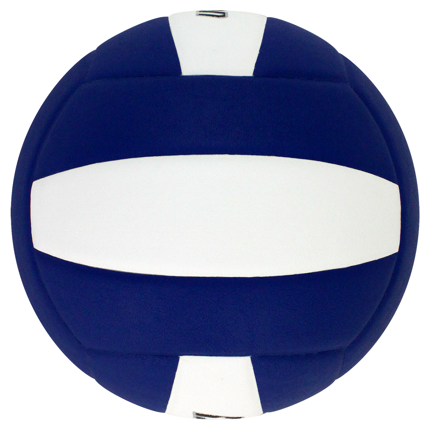 Perfection Leather Volleyball