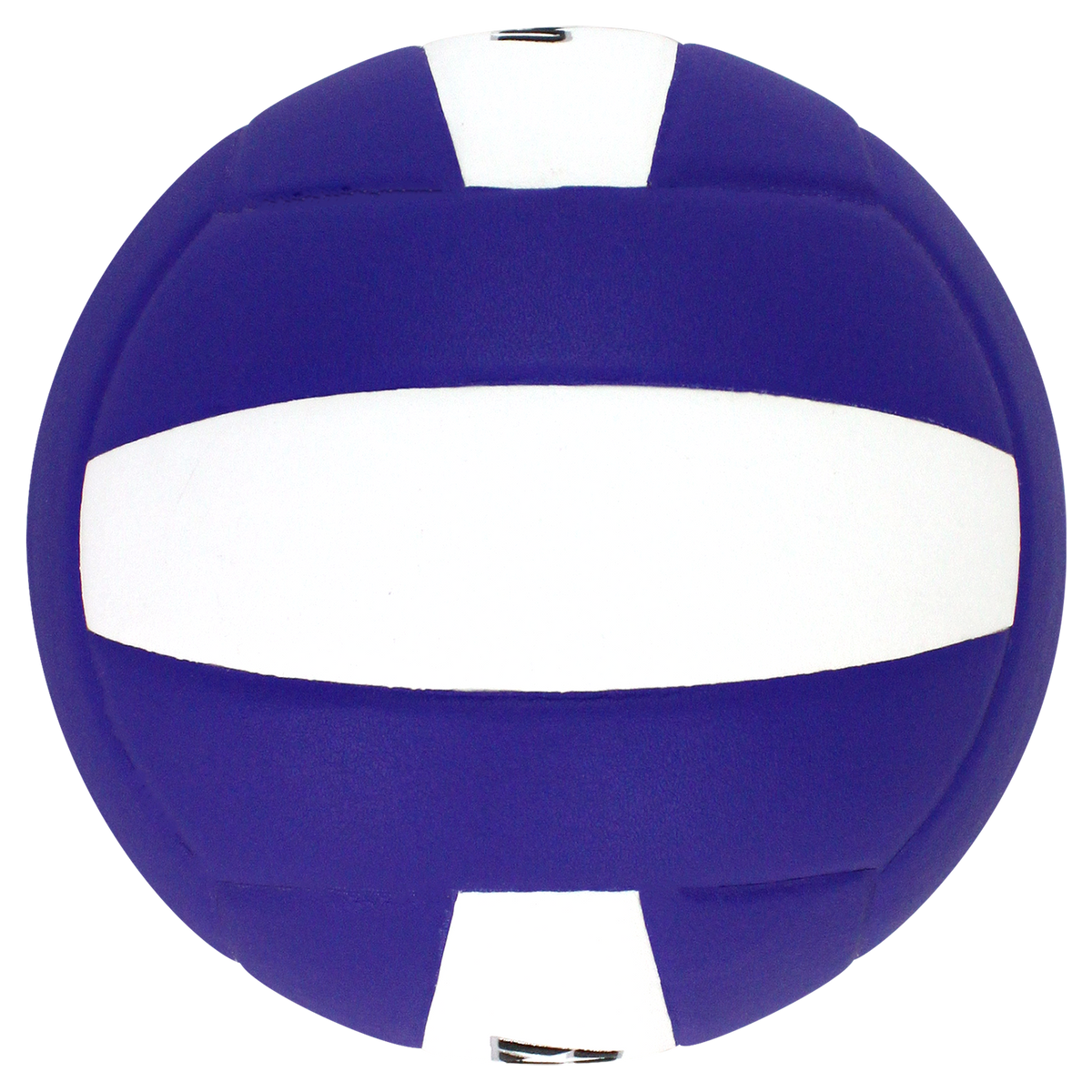 Perfection Leather Volleyball