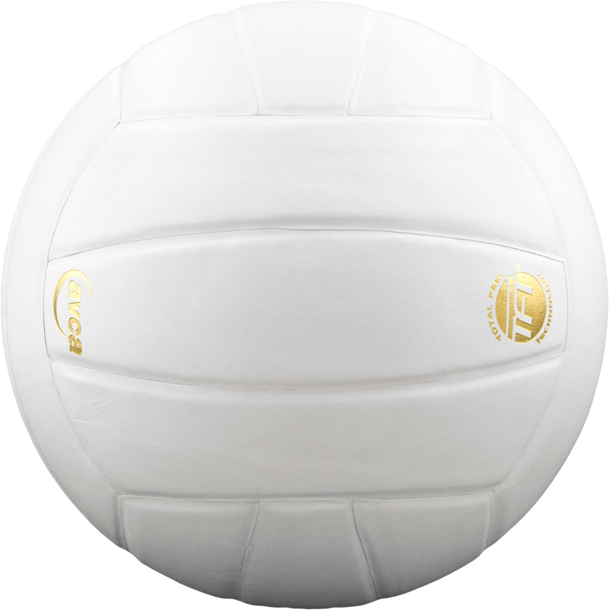 Perfection Leather Volleyball