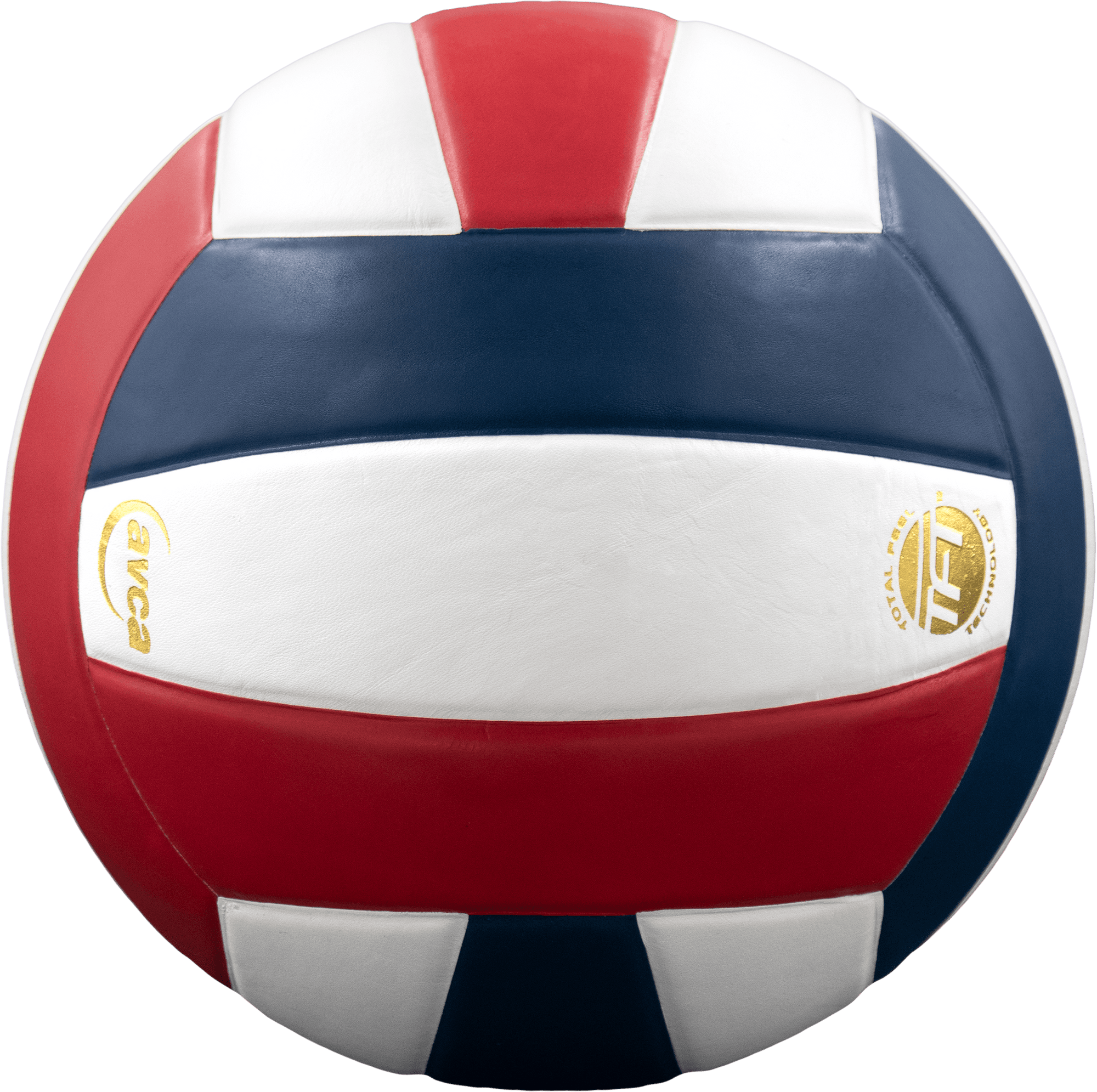 Perfection Leather Volleyball