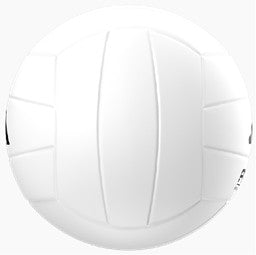 Adidas PRO Game Volleyball