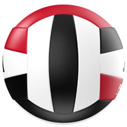 Adidas PRO Game Volleyball