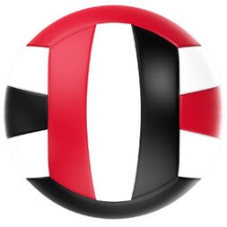 Adidas PRO Game Volleyball