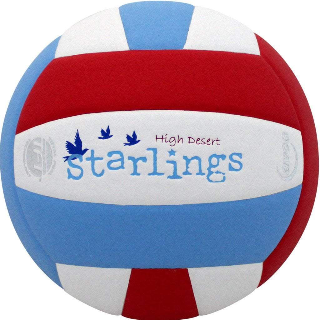 Custom Lexum Volleyball