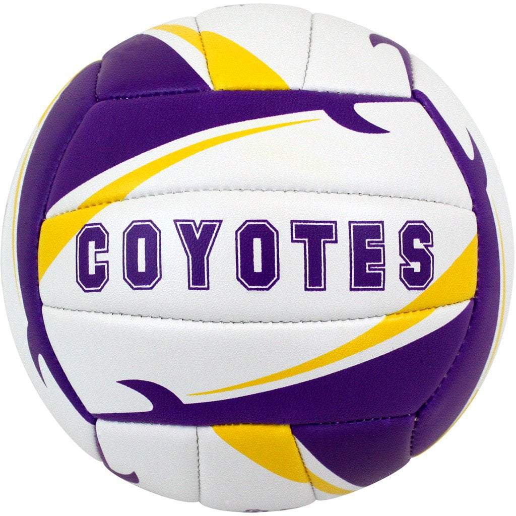 Custom Match Point Volleyball