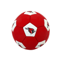 Custom Mini Soccer Ball