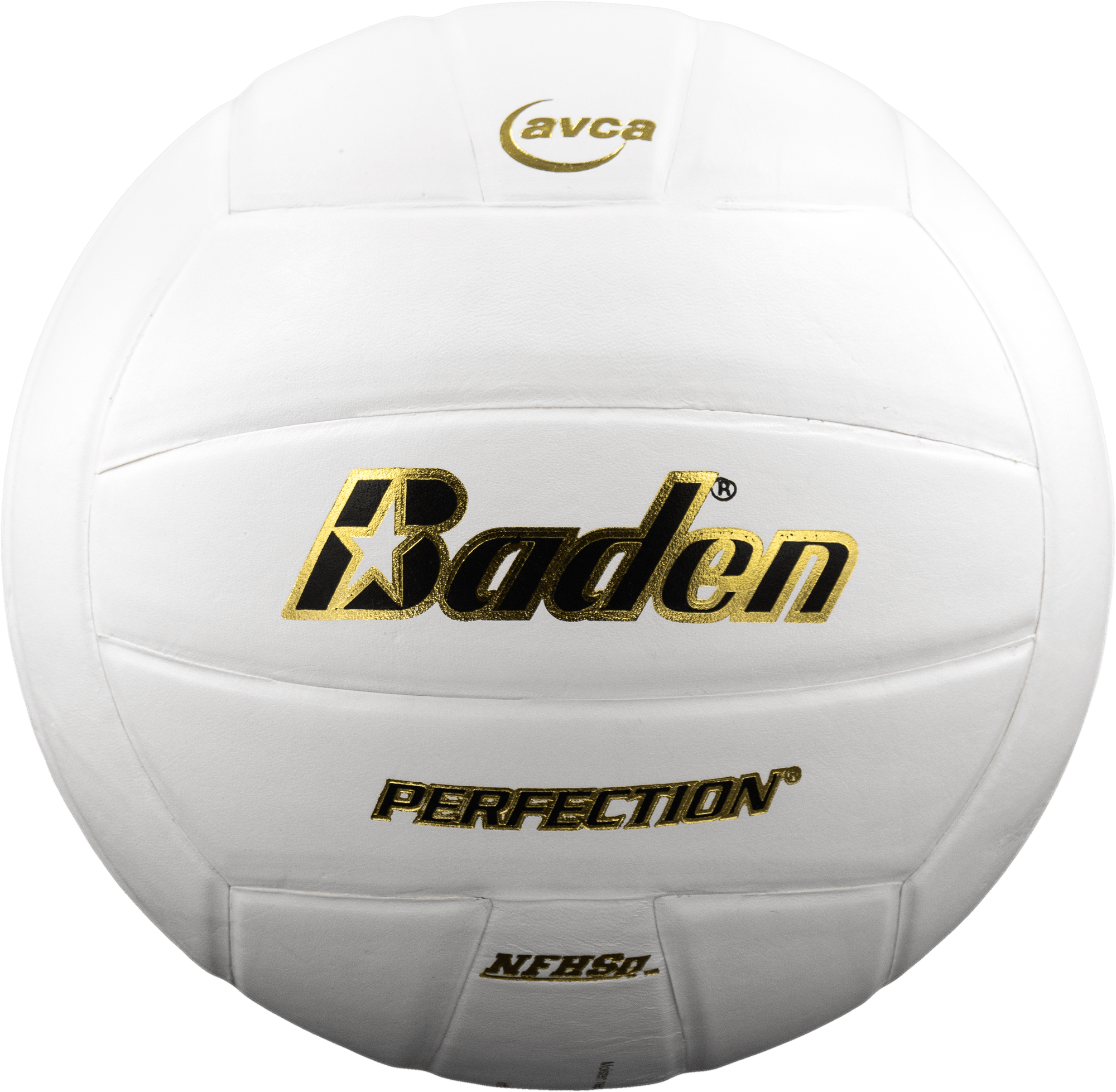 Perfection Leather Volleyball / VX5EC