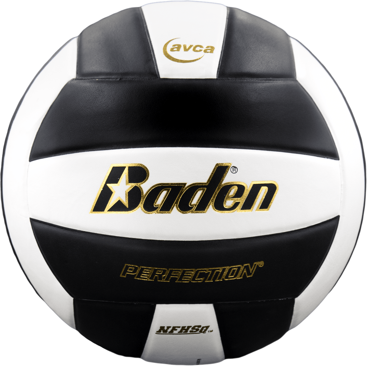 Perfection Leather Volleyball