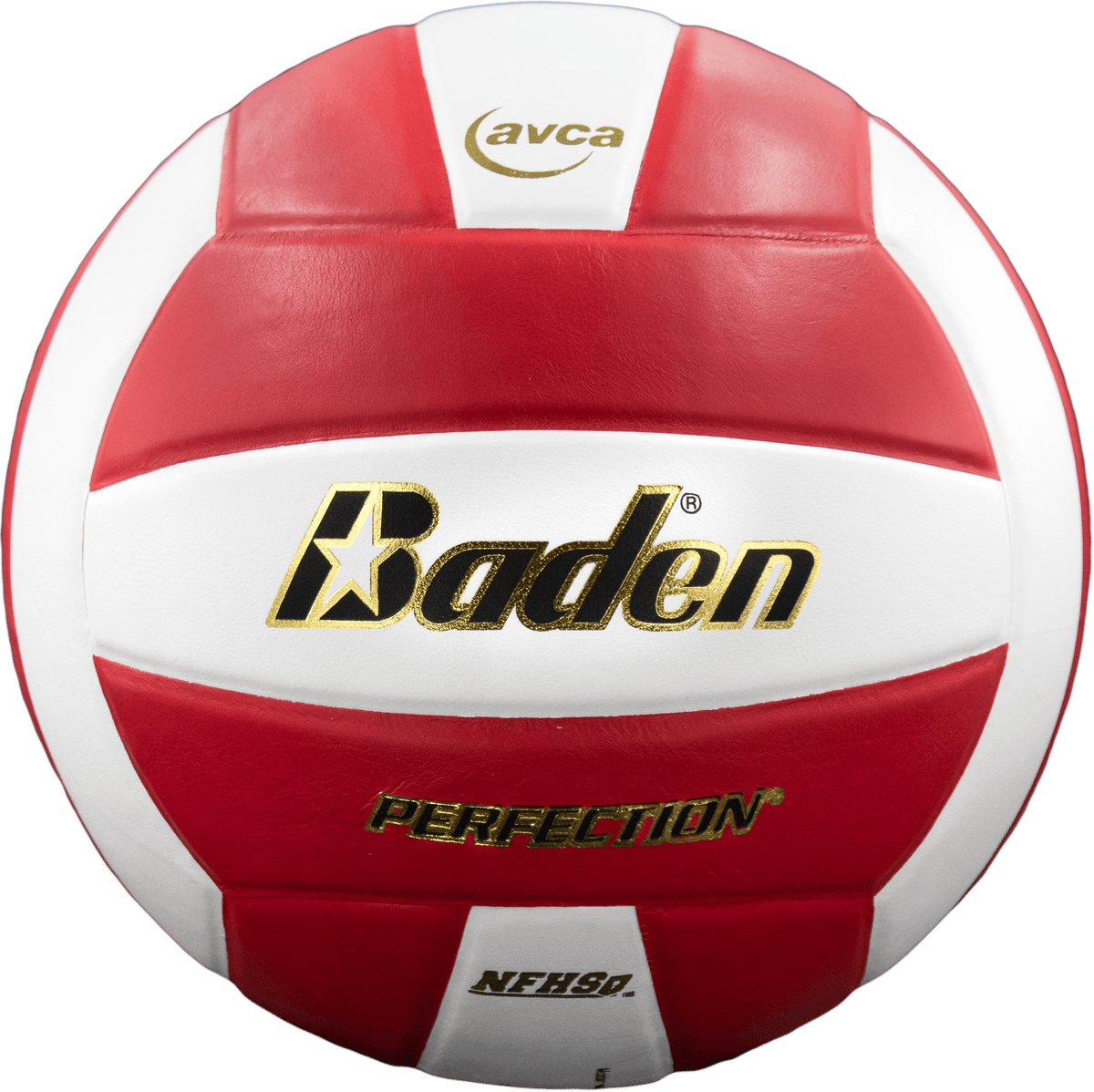 Perfection Leather Volleyball