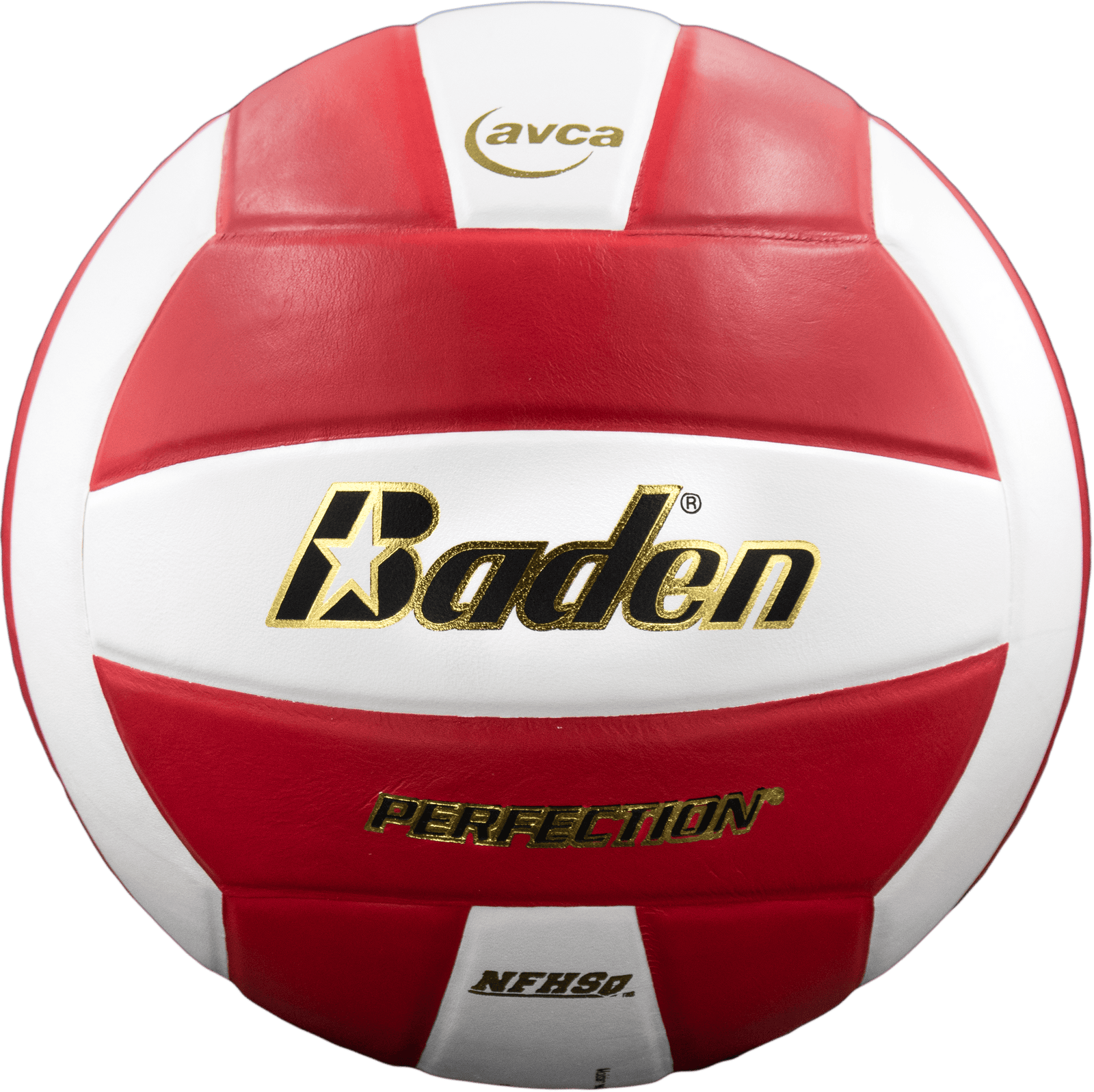 Perfection Leather Volleyball