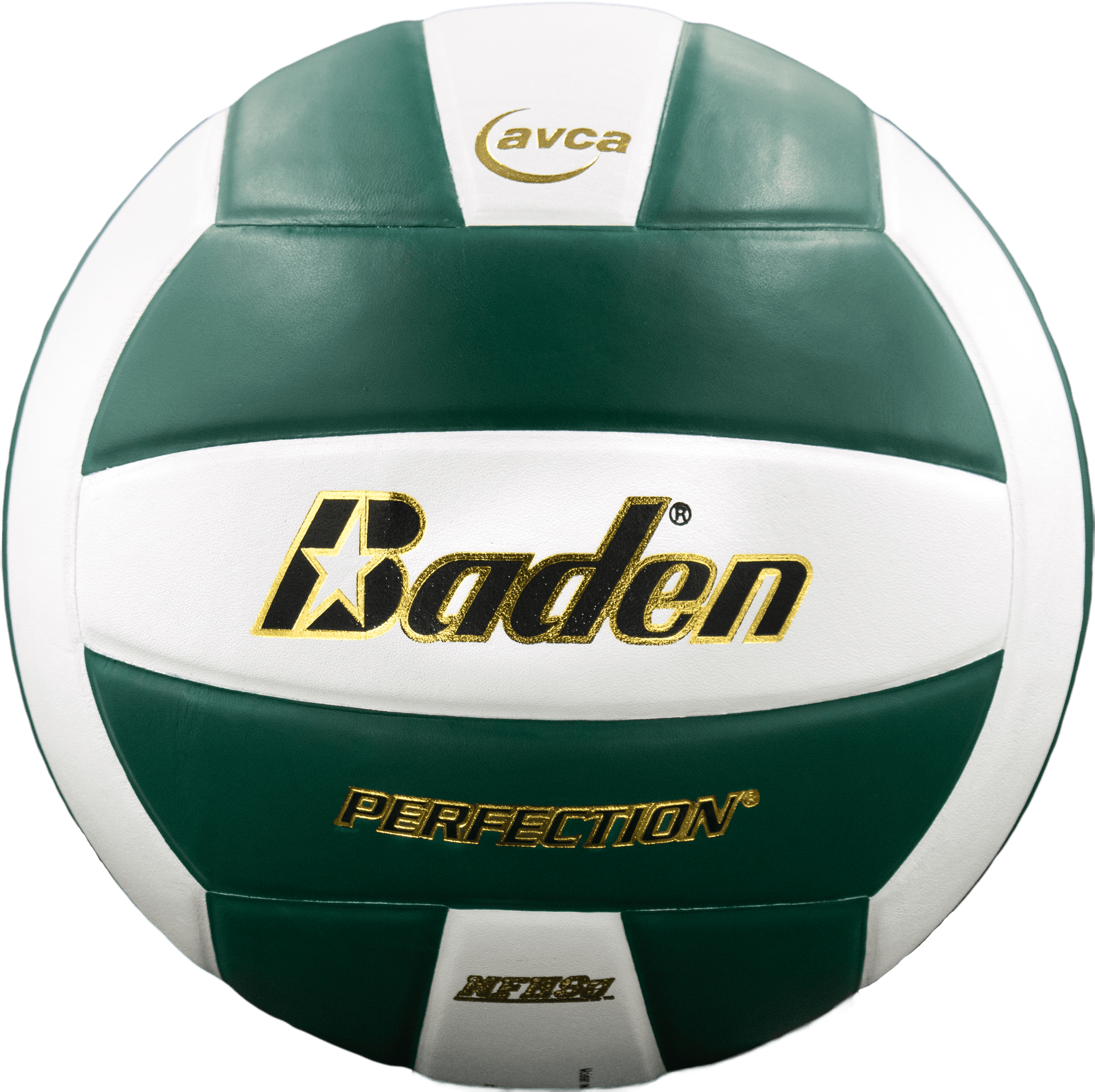 Perfection Leather Volleyball / VX5EC