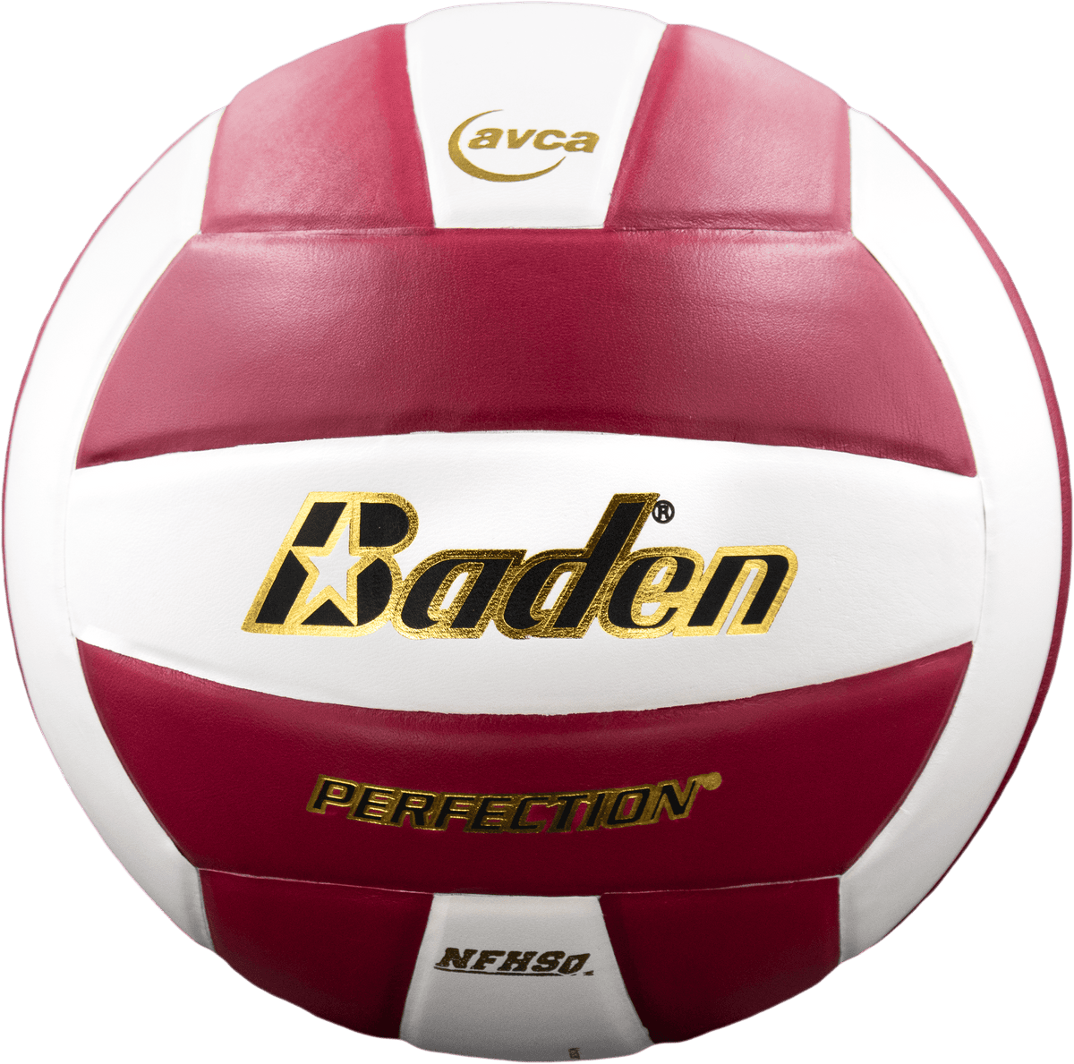Perfection Leather Volleyball