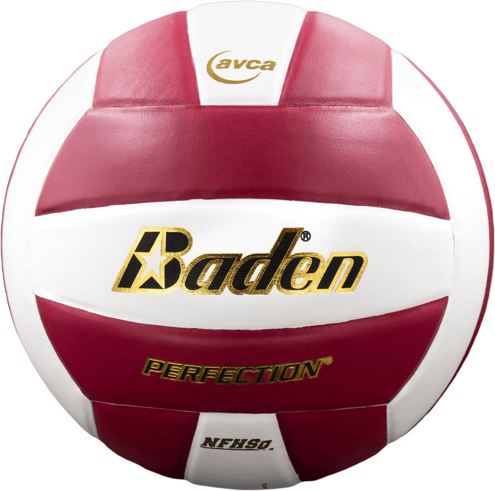 Perfection Leather Volleyball
