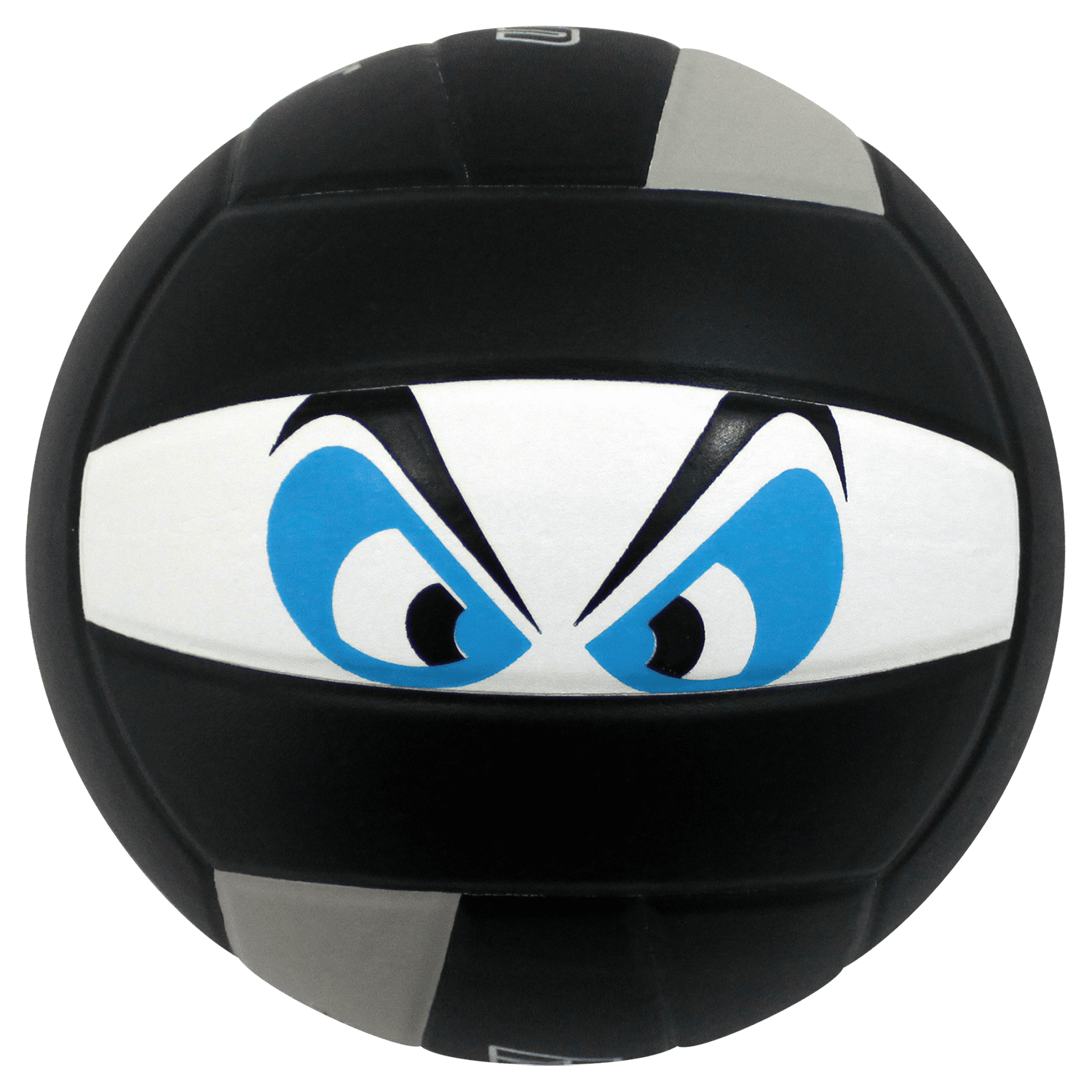 Custom Perfection Volleyball