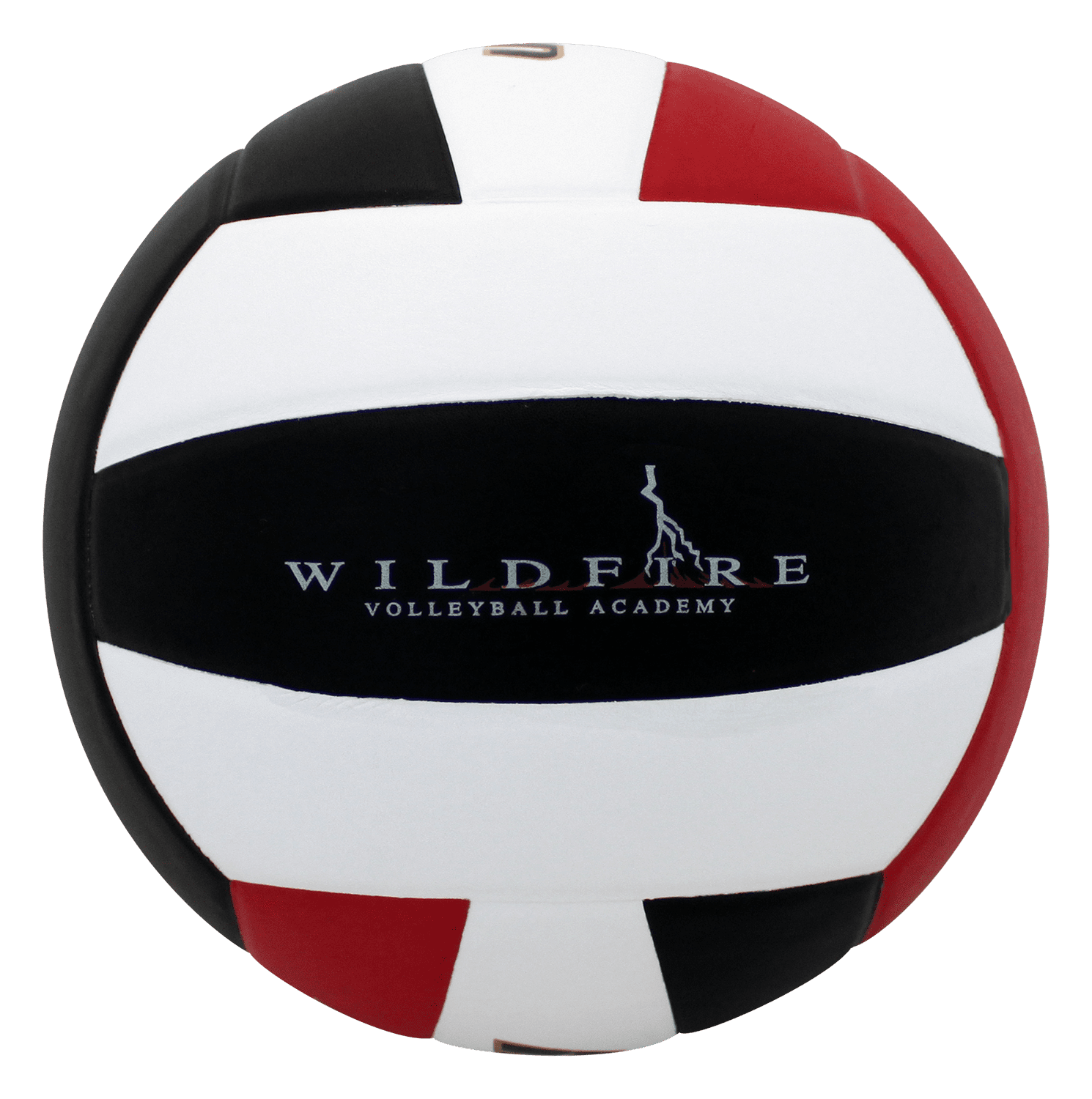 Custom Perfection Volleyball