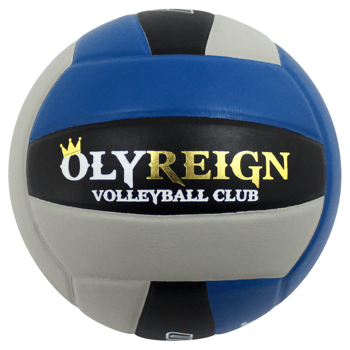 Custom Perfection Volleyball
