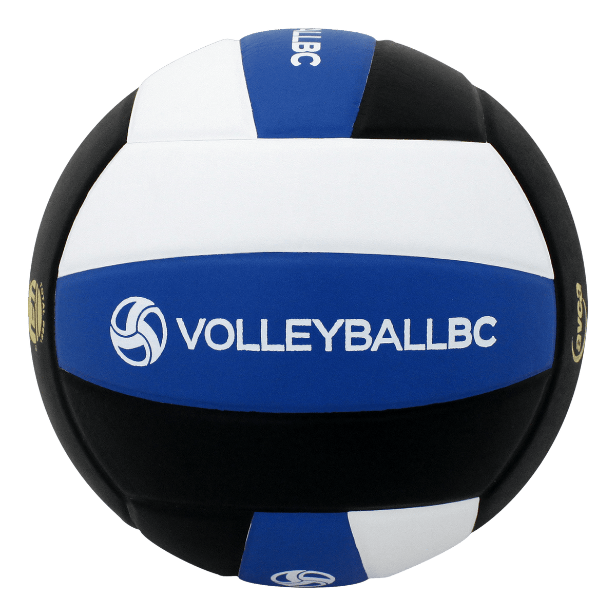 Custom Perfection Volleyball