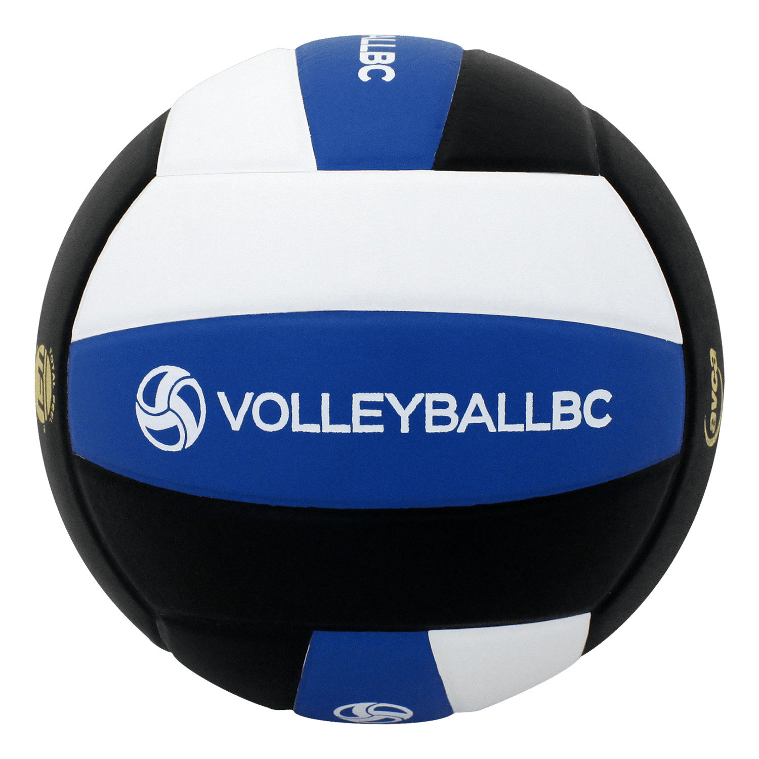 Custom Perfection Volleyball